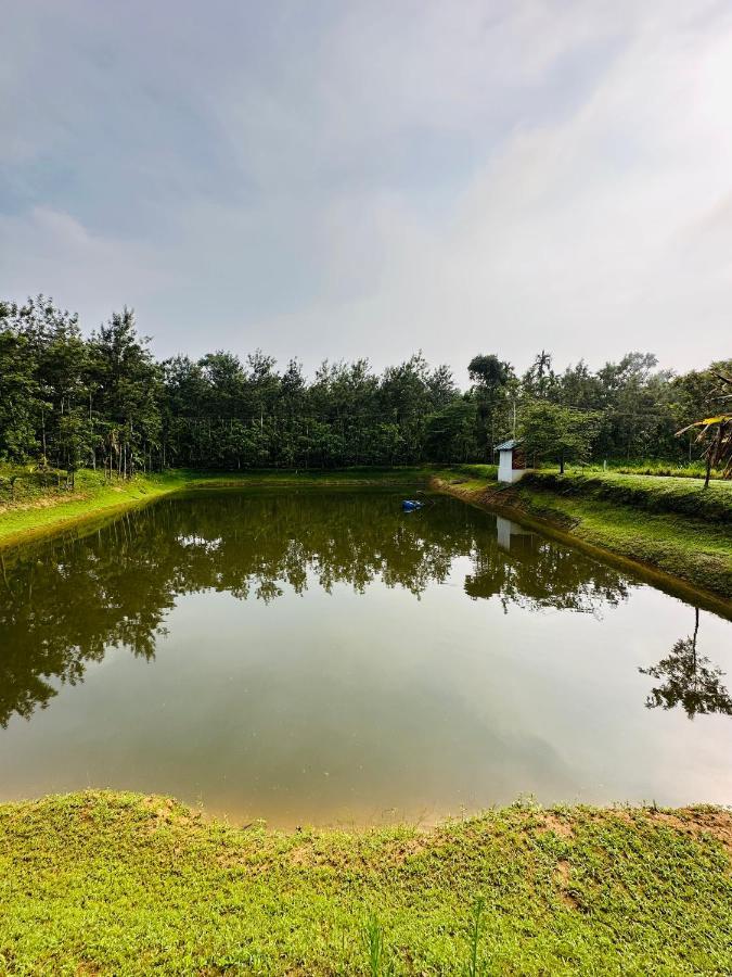 Green Castle Gonikoppal Zewnętrze zdjęcie